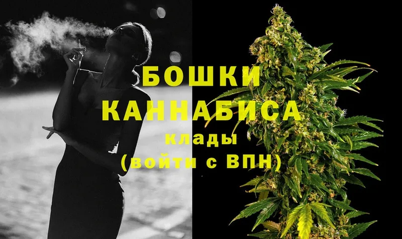 купить наркотик  Благодарный  Каннабис SATIVA & INDICA 